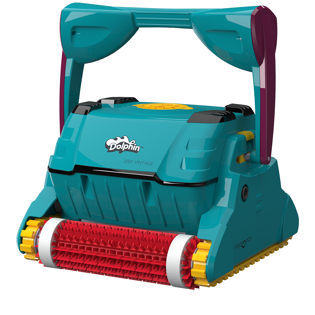Dolphin 2001 Vintage