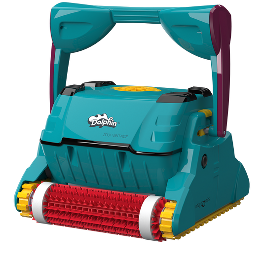 Dolphin 2001 Vintage