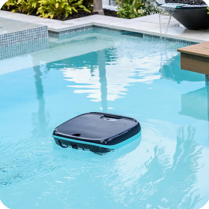 Dolphin Skimmi 200