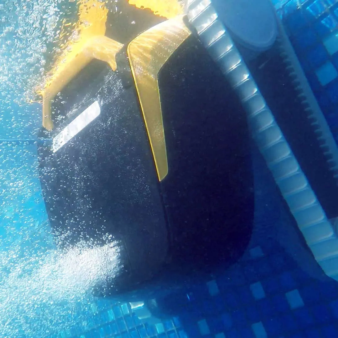 Dolphin E25