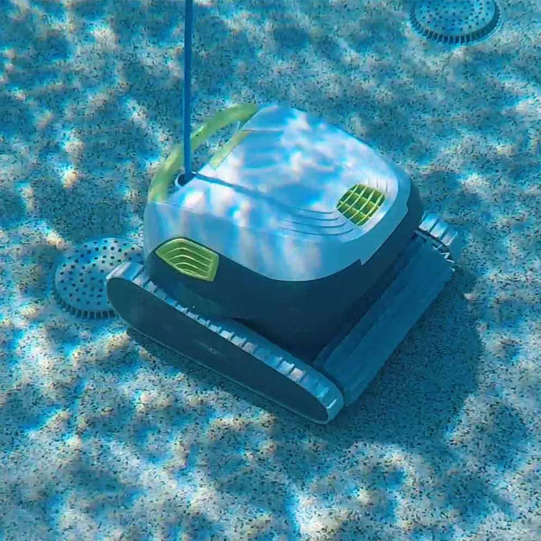 Dolphin T35