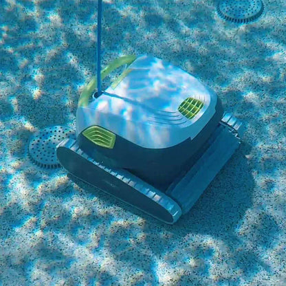 Dolphin T35