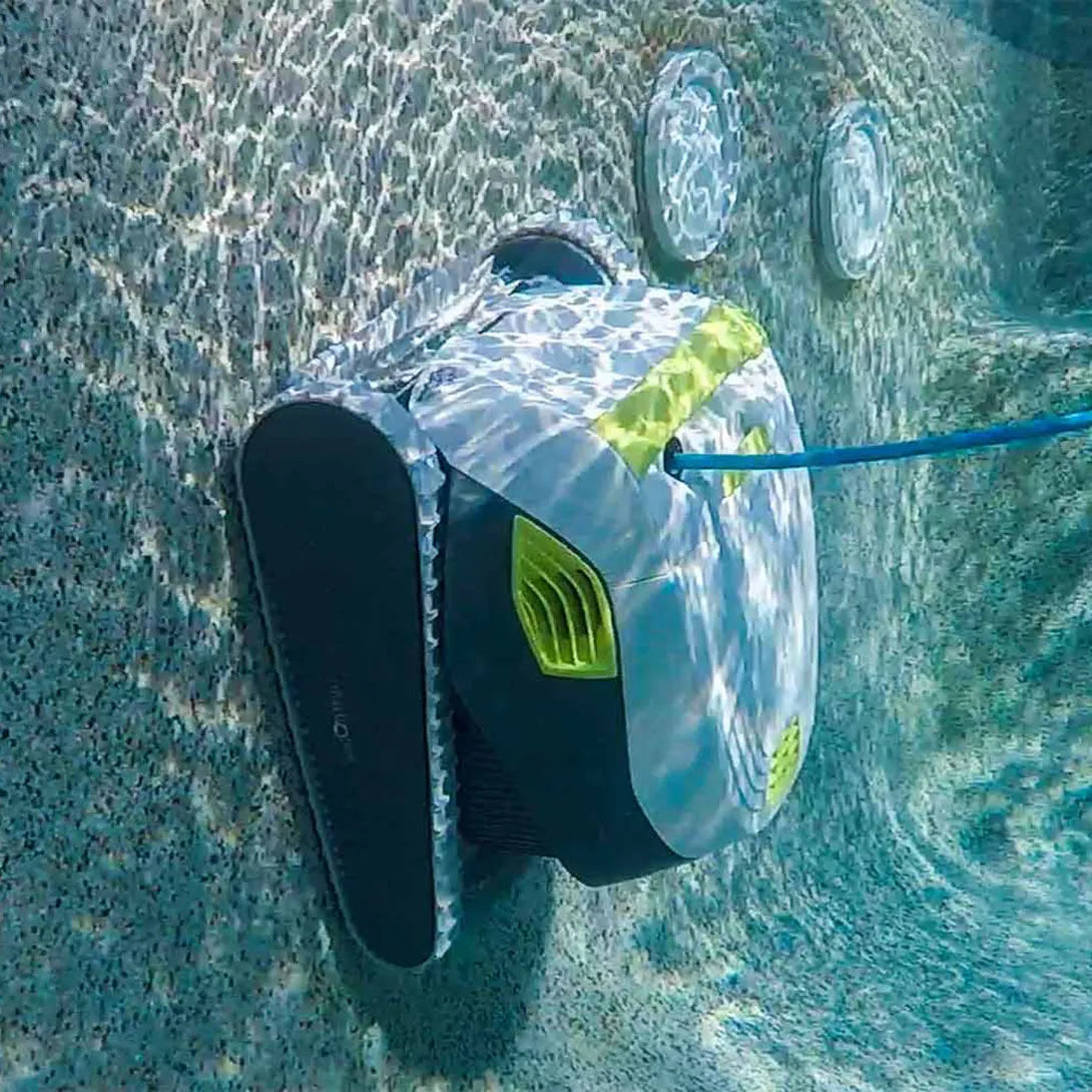 Dolphin T35
