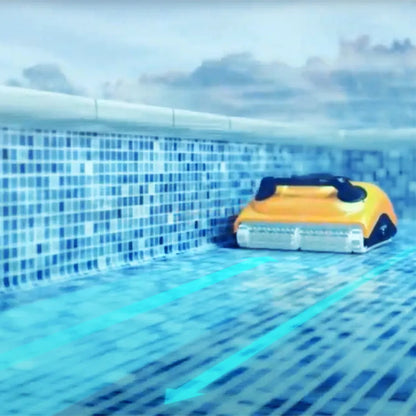 Dolphin W 20
