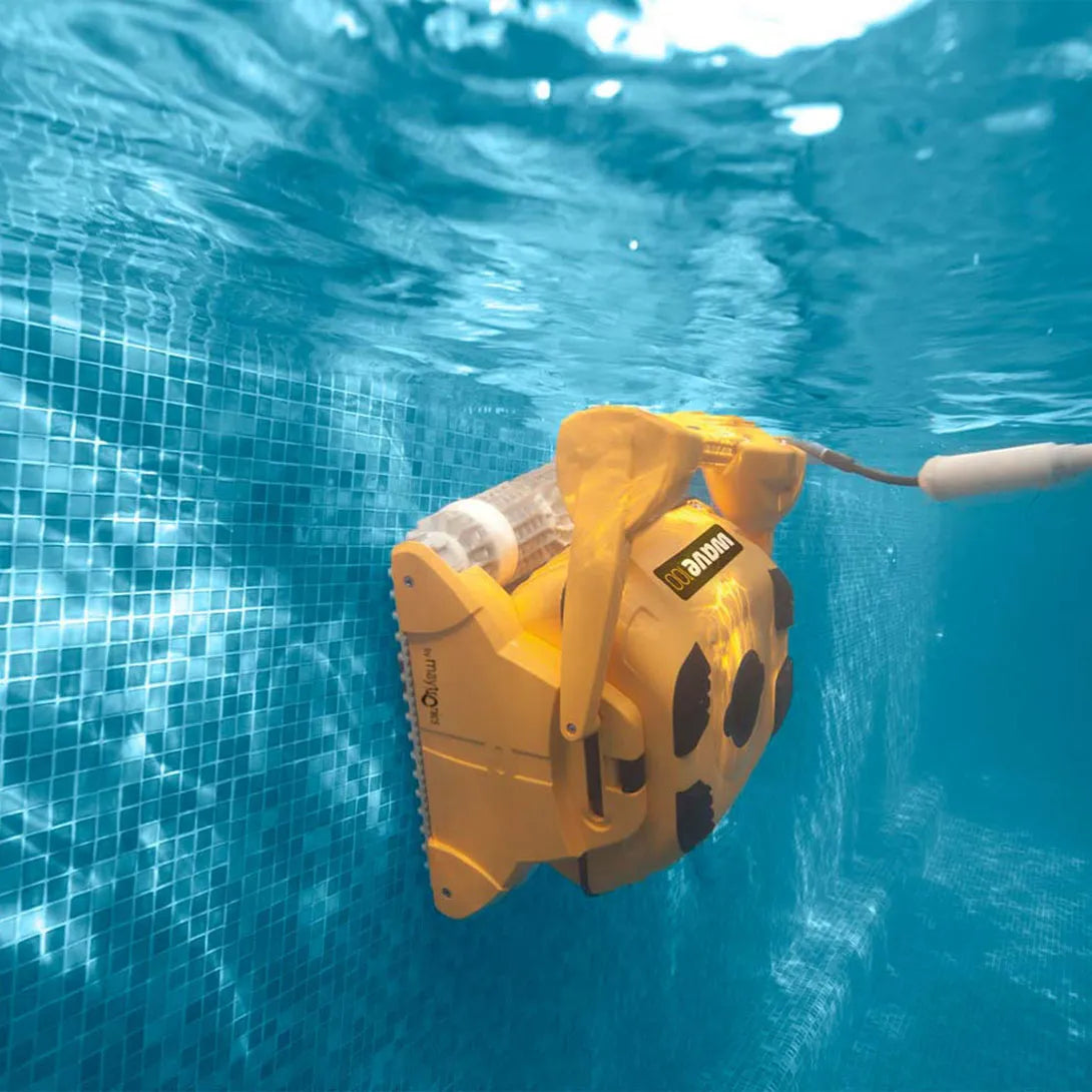 Dolphin Wave 100