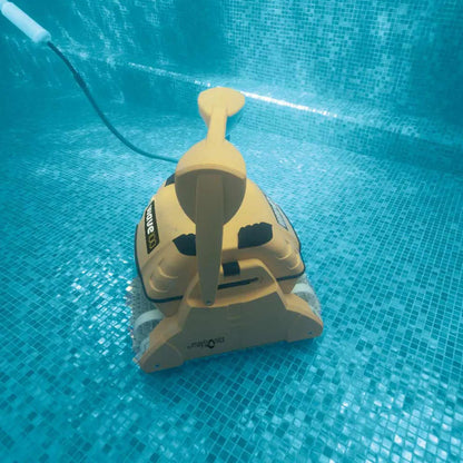 Dolphin Wave 100