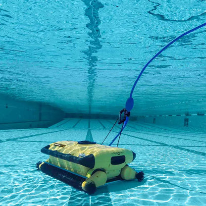 Dolphin Wave 300 XL