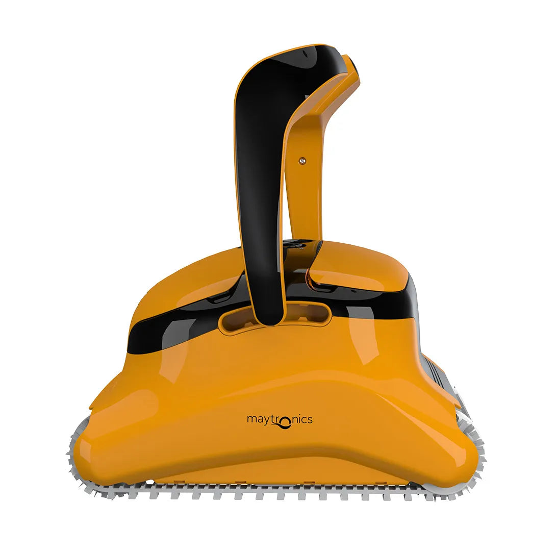 Dolphin Wave 80
