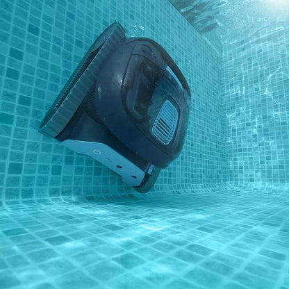 Dolphin LIBERTY 300