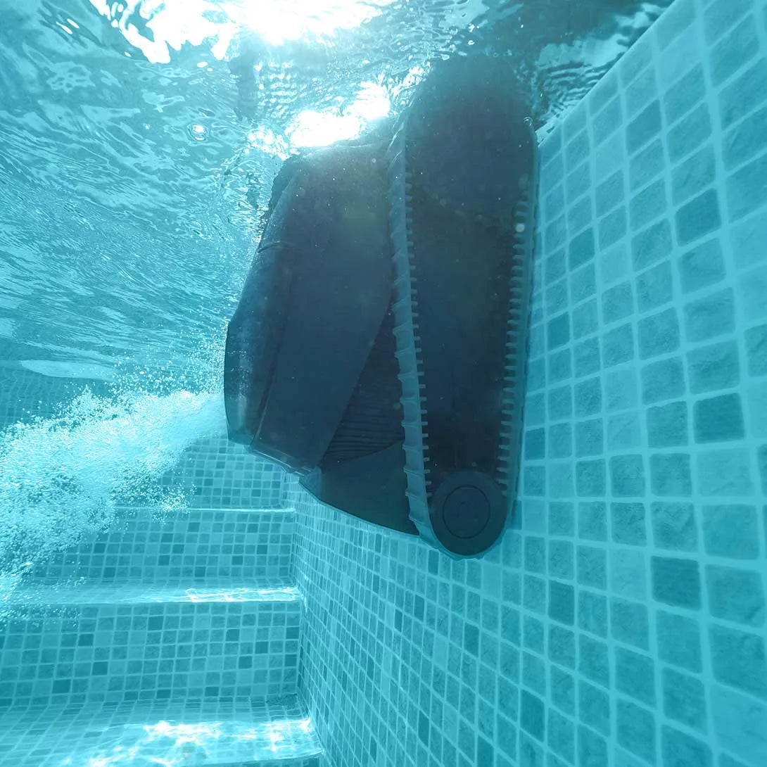 Dolphin LIBERTY 400