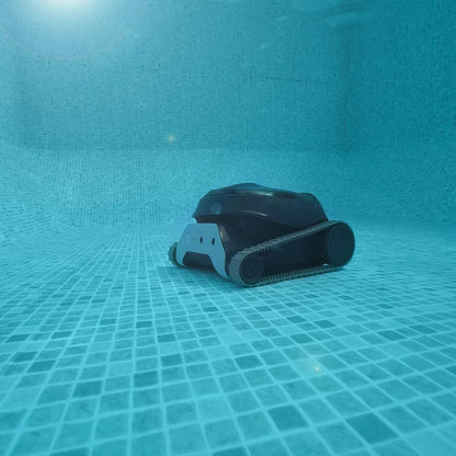 Dolphin LIBERTY 400