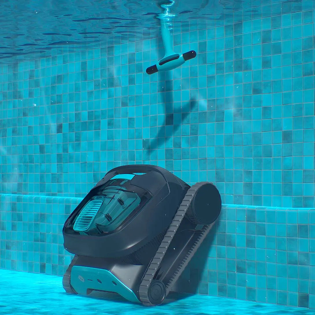 Dolphin LIBERTY 300