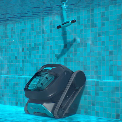 Dolphin LIBERTY 300